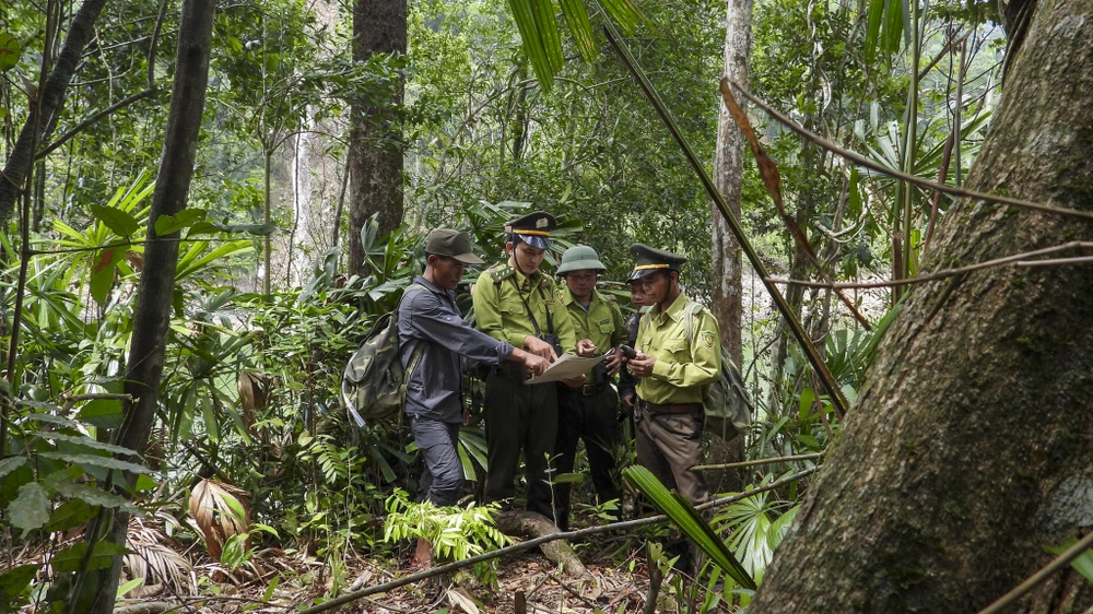 muc-so-thi-kho-bau-xanh-giup-vuon-quoc-gia-bach-ma-thanh-di-san-asean (28).jpg