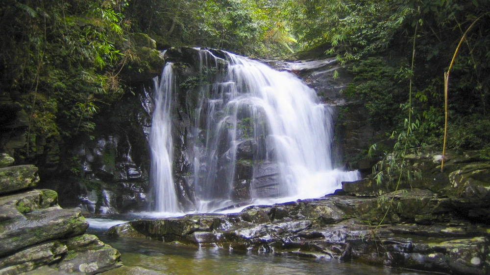 muc-so-thi-kho-bau-xanh-giup-vuon-quoc-gia-bach-ma-thanh-di-san-asean (4).jpg