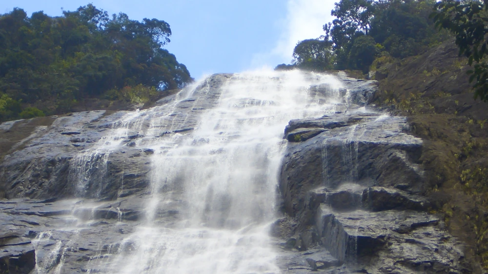 muc-so-thi-kho-bau-xanh-giup-vuon-quoc-gia-bach-ma-thanh-di-san-asean (9).jpg