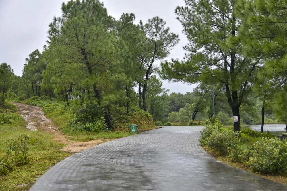 ve-dep-ma-mi-cua-con-rong-khong-lo-o-hue-gio-ra-sao (27).jpg