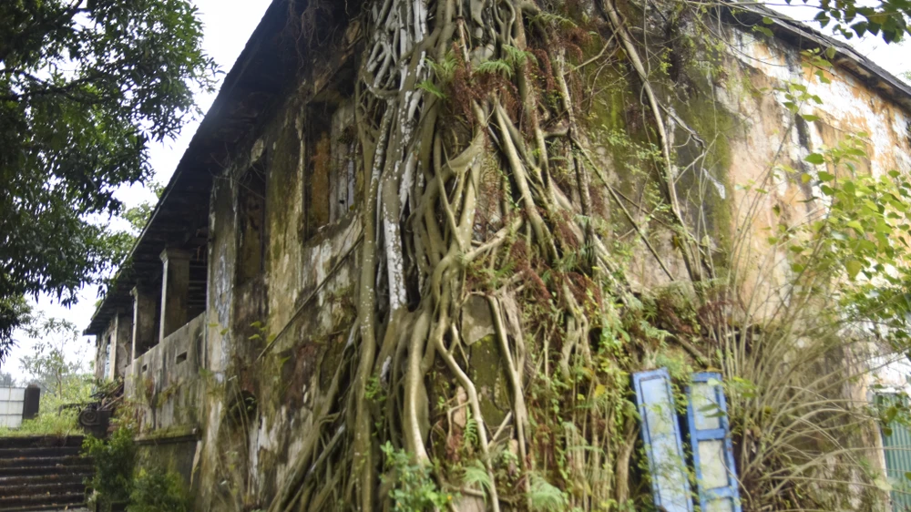 bi-mat-ve-toa-thanh-co-treo-chiec-den-long-khong-lo-lam-mat-than-giu-bien (15).jpg