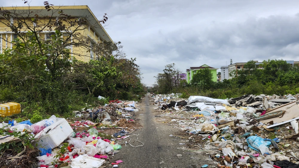 ma-tran-rac-bua-vay-lang-dai-hoc-hue (13).jpg