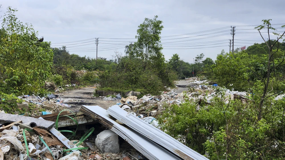 ma-tran-rac-bua-vay-lang-dai-hoc-hue (15).jpg