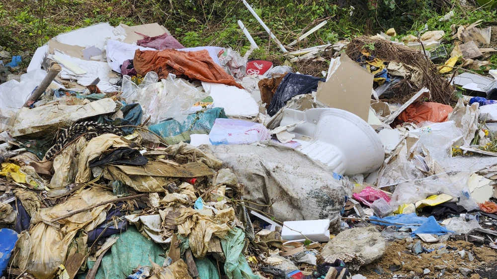 ma-tran-rac-bua-vay-lang-dai-hoc-hue (6).jpg