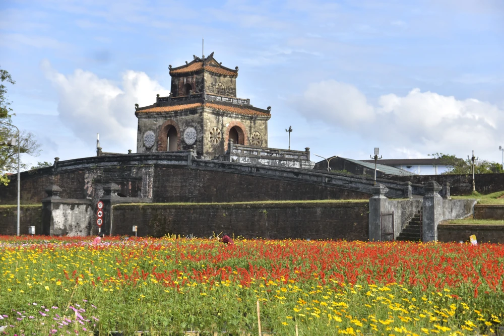 dan-ngua-phi-tren-tuong-thanh-va-doa-sen-khong-lo-thu-hut-gioi-tre-hue (1).jpg