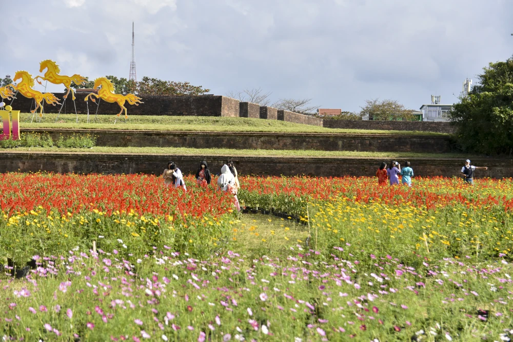dan-ngua-phi-tren-tuong-thanh-va-doa-sen-khong-lo-thu-hut-gioi-tre-hue (15).jpg