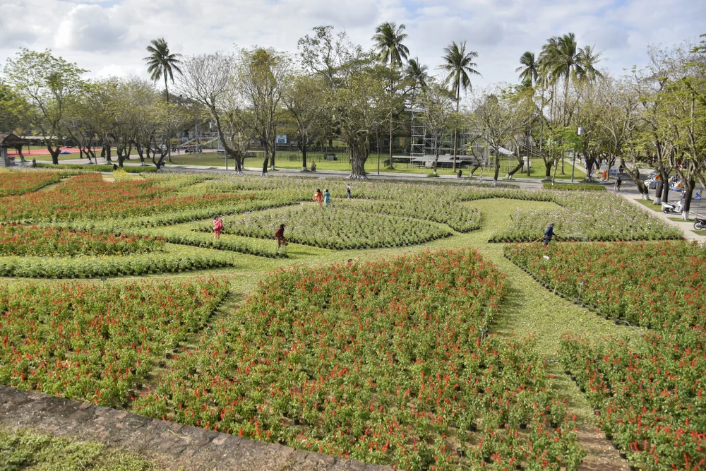 dan-ngua-phi-tren-tuong-thanh-va-doa-sen-khong-lo-thu-hut-gioi-tre-hue (17).jpg