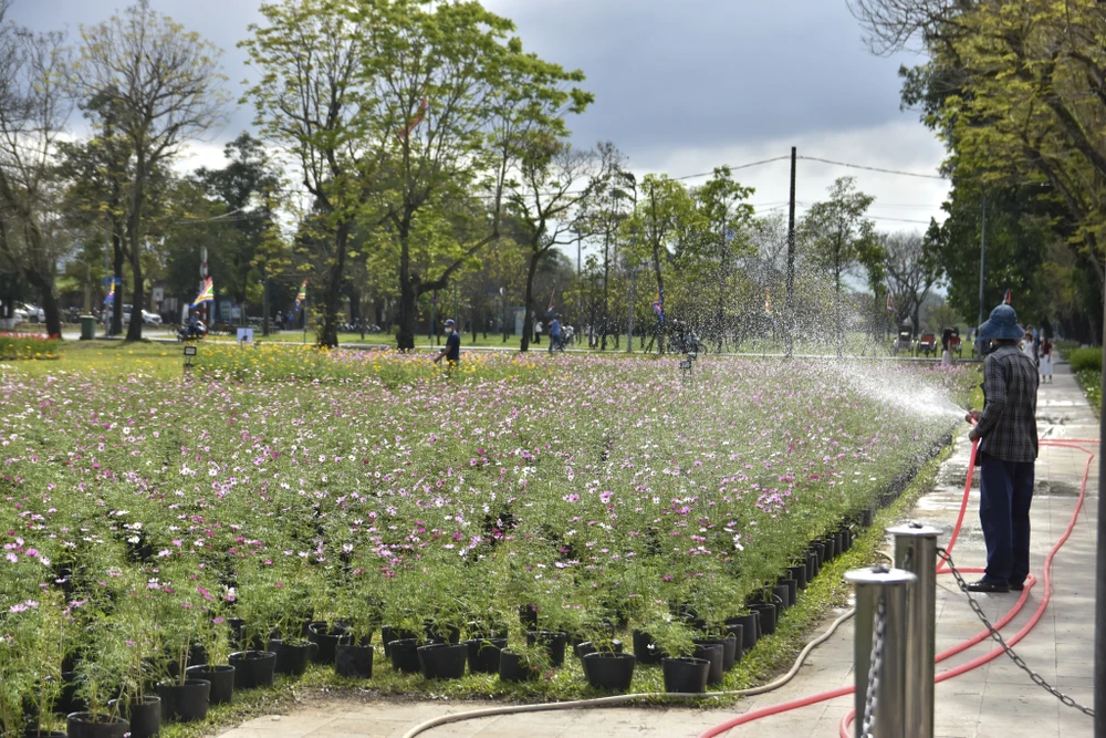 dan-ngua-phi-tren-tuong-thanh-va-doa-sen-khong-lo-thu-hut-gioi-tre-hue (18).jpg