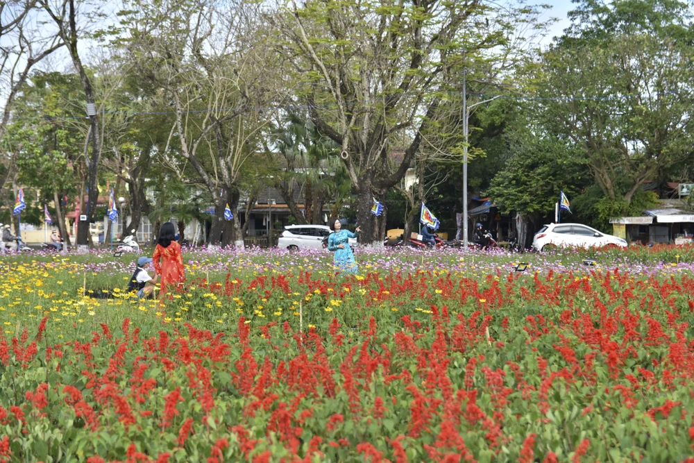 dan-ngua-phi-tren-tuong-thanh-va-doa-sen-khong-lo-thu-hut-gioi-tre-hue (19).jpg