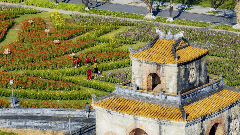 dan-ngua-phi-tren-tuong-thanh-va-doa-sen-khong-lo-thu-hut-gioi-tre-hue (2).jpg