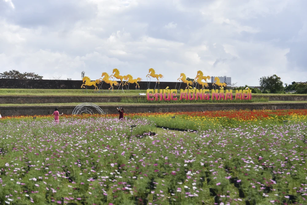 dan-ngua-phi-tren-tuong-thanh-va-doa-sen-khong-lo-thu-hut-gioi-tre-hue (20).jpg