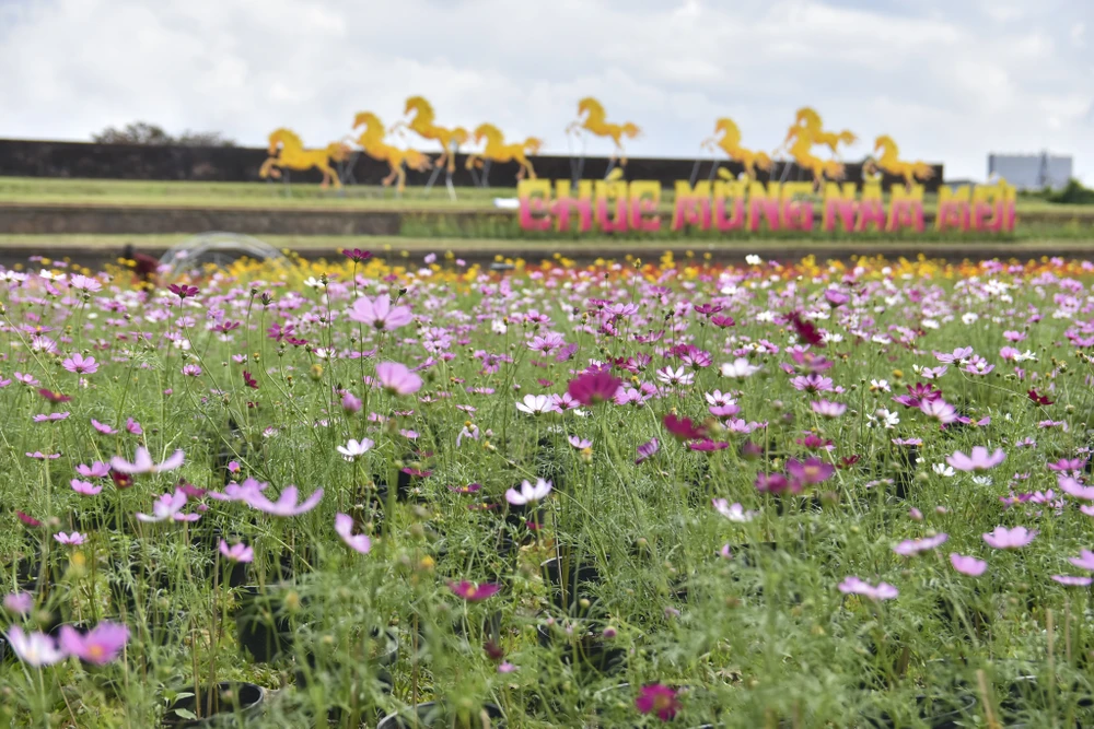 dan-ngua-phi-tren-tuong-thanh-va-doa-sen-khong-lo-thu-hut-gioi-tre-hue (21).jpg