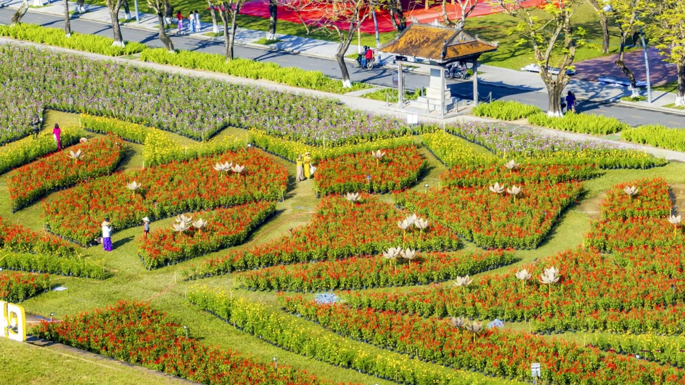 dan-ngua-phi-tren-tuong-thanh-va-doa-sen-khong-lo-thu-hut-gioi-tre-hue (5).jpg