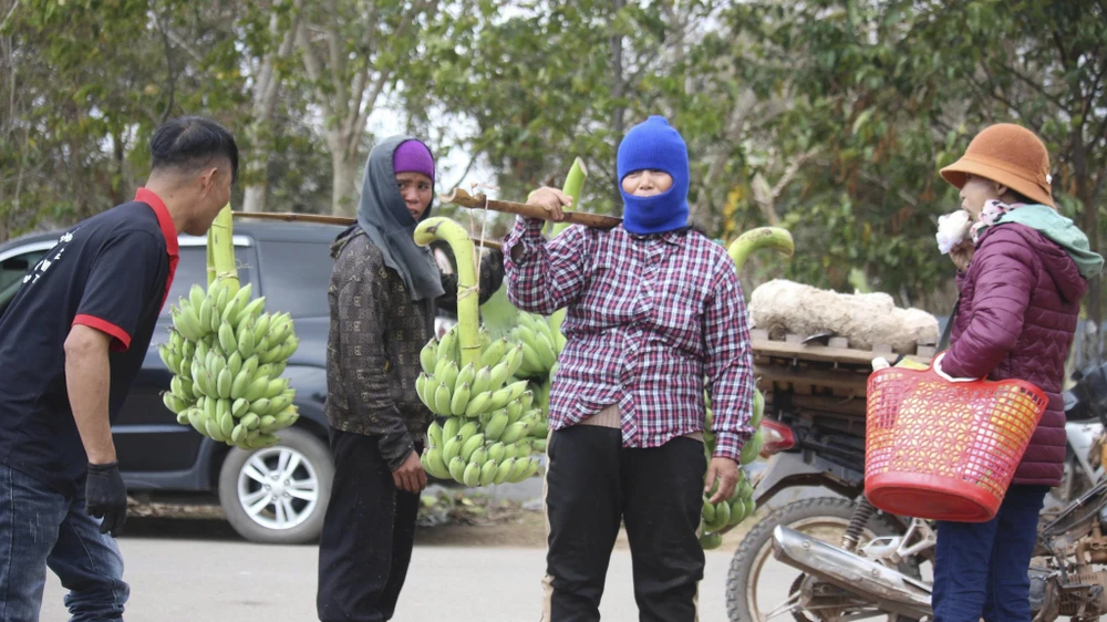 tap-nap-thu-phu-chuoi-vung-bien-quang-tri-nhung-ngay-giap-tet (10).jpg