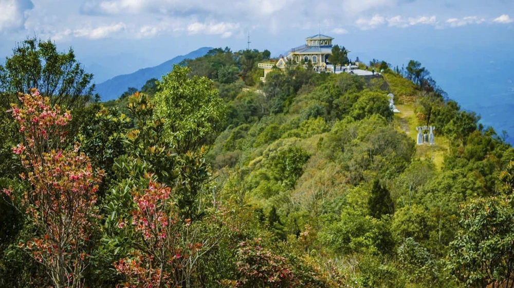 sac-xuan-me-hoac-long-nguoi-tren-dinh-bach-ma (13).jpg