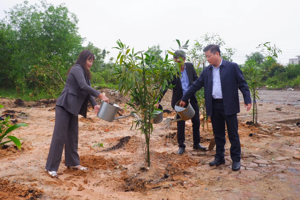 500-sinh-vien-dai-hoc-hue-tham-gia-tet-trong-cay-xuan-binh-ngo (1).jpg