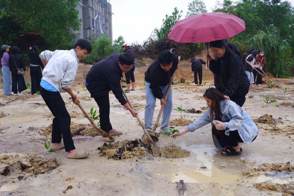 500-sinh-vien-dai-hoc-hue-tham-gia-tet-trong-cay-xuan-binh-ngo (3).jpg