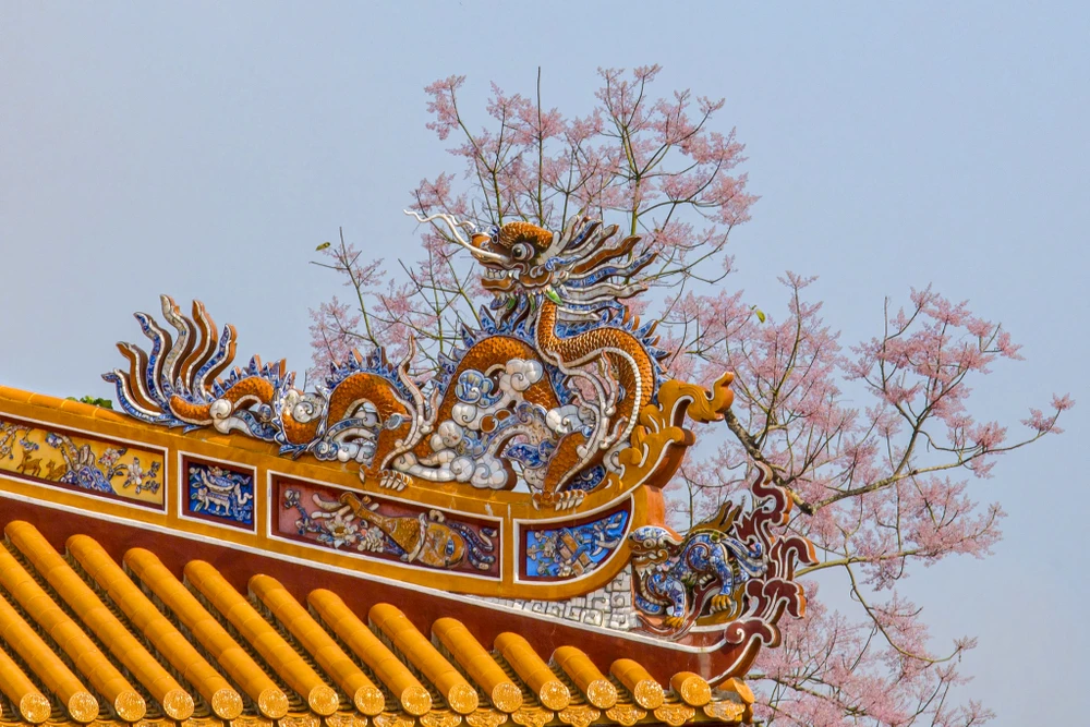 hoa-ngo-dong-chom-no-diem-xuyet-net-tho-mong-cho-dai-noi-hue (11).jpg