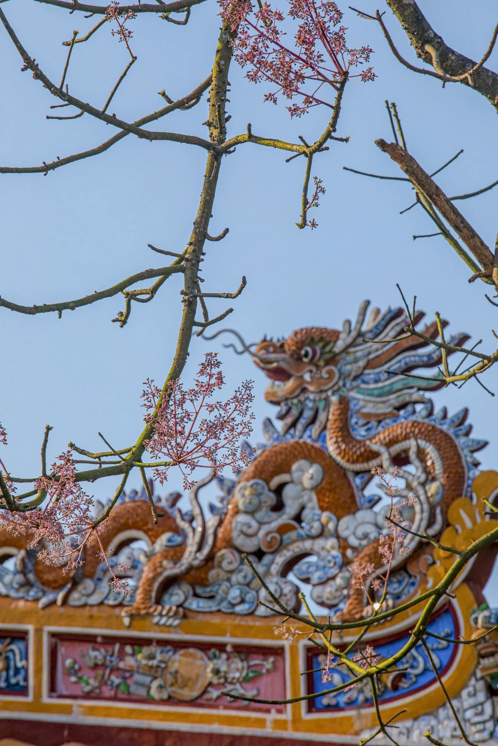 hoa-ngo-dong-chom-no-diem-xuyet-net-tho-mong-cho-dai-noi-hue (13).jpg