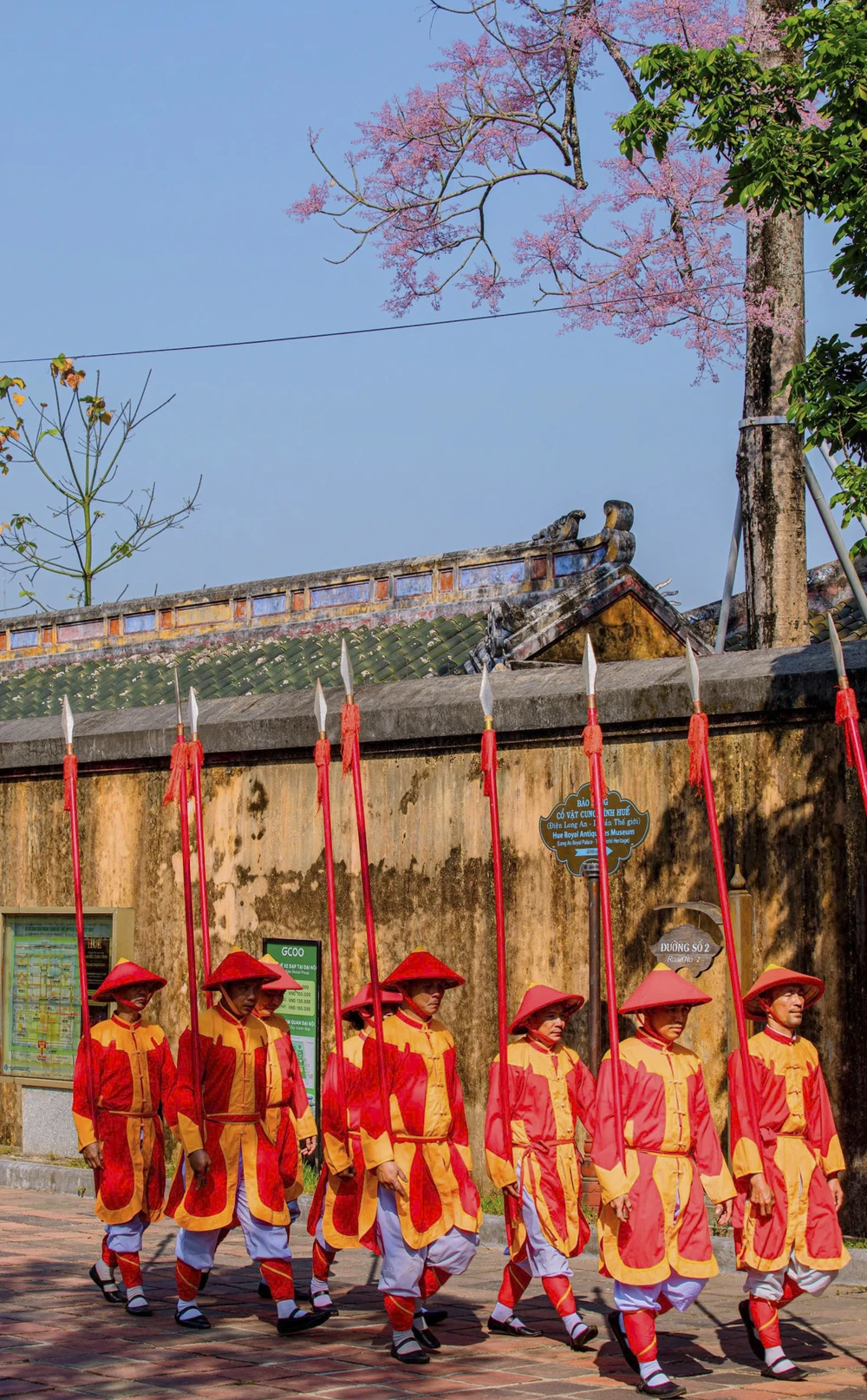 hoa-ngo-dong-chom-no-diem-xuyet-net-tho-mong-cho-dai-noi-hue (3).jpg