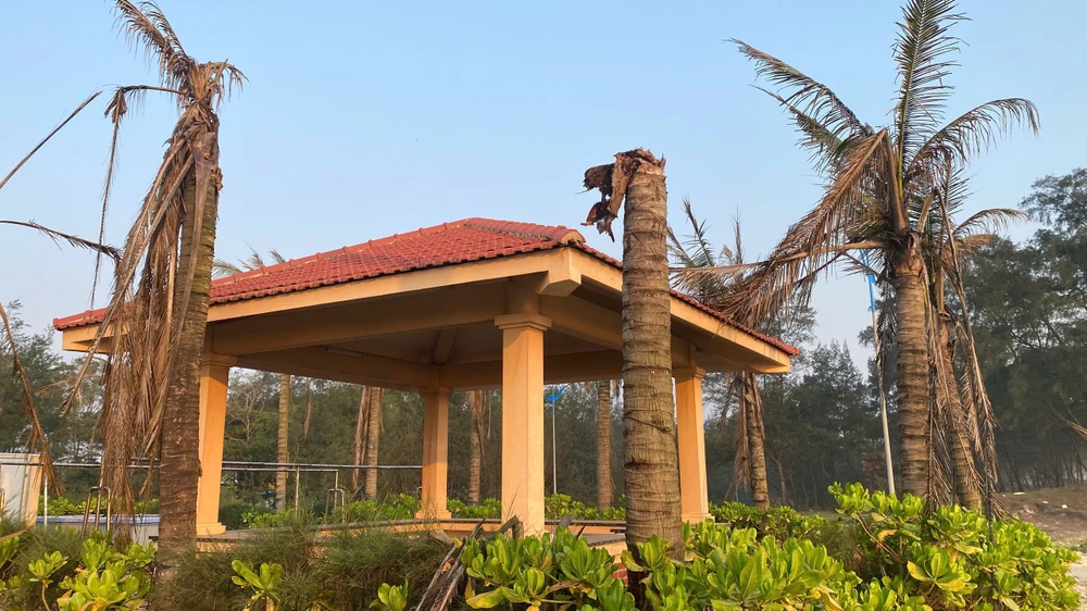 nguy-co-lo-hen-mua-du-lich-bien-tai-du-an-bai-tam-tien-ti-o-quang-tri (8).jpg