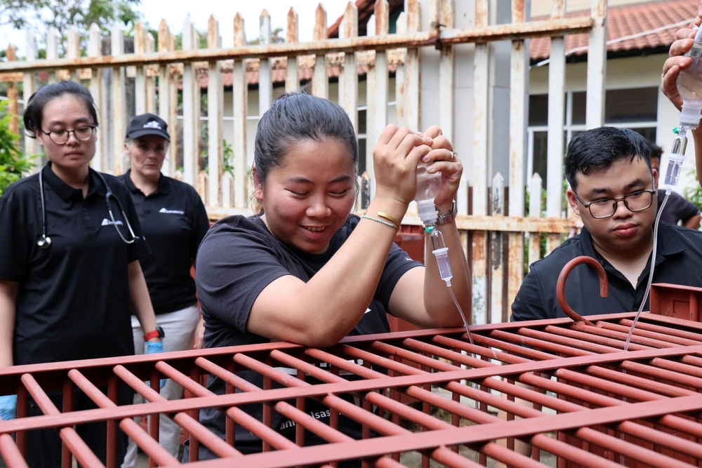 chum-anh-cuu-ho-4-ca-the-gau-tu-tp-ho-chi-minh-dua-ve-bach-ma (10).JPG