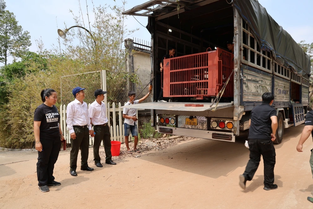 chum-anh-cuu-ho-4-ca-the-gau-tu-tp-ho-chi-minh-dua-ve-bach-ma (3).JPG