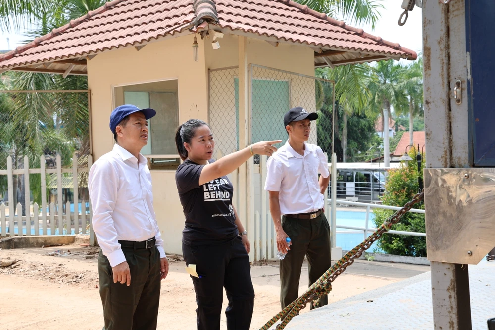 chum-anh-cuu-ho-4-ca-the-gau-tu-tp-ho-chi-minh-dua-ve-bach-ma (4).JPG