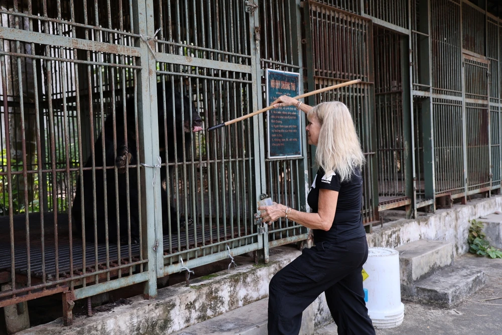 chum-anh-cuu-ho-4-ca-the-gau-tu-tp-ho-chi-minh-dua-ve-bach-ma (7).JPG