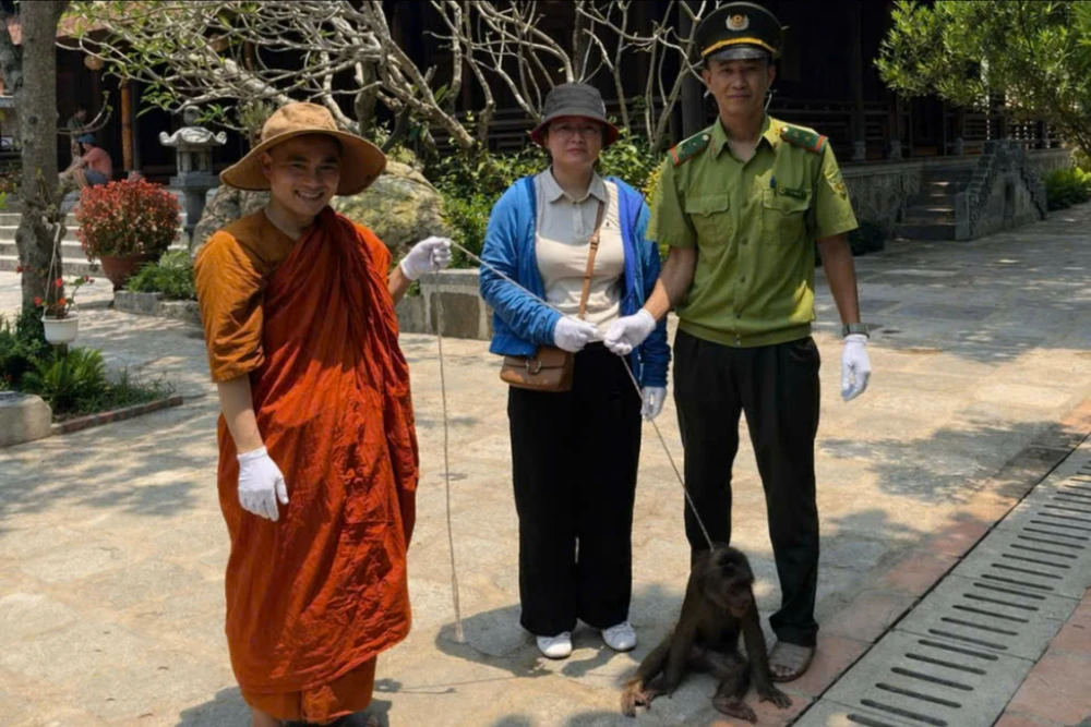 bat-ngo-phat-hien-khi-mat-do-quy-hiem-di-lac-vao-chua-o-hue (1).jpg