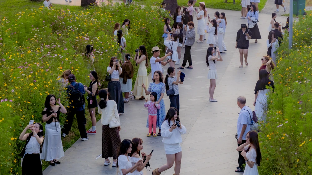 toa-do-giai-nhiet-ly-tuong-duoc-nguoi-hue-san-don-giua-ngay-he-ruc-lua (7).jpg