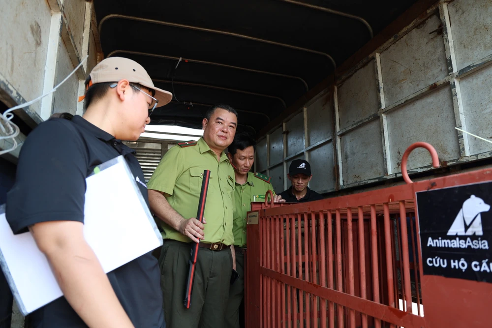 vuot-500-km-dua-gau-ngua-vang-anh-va-cuc-cu-ve-ngoi-nha-moi (3).JPG