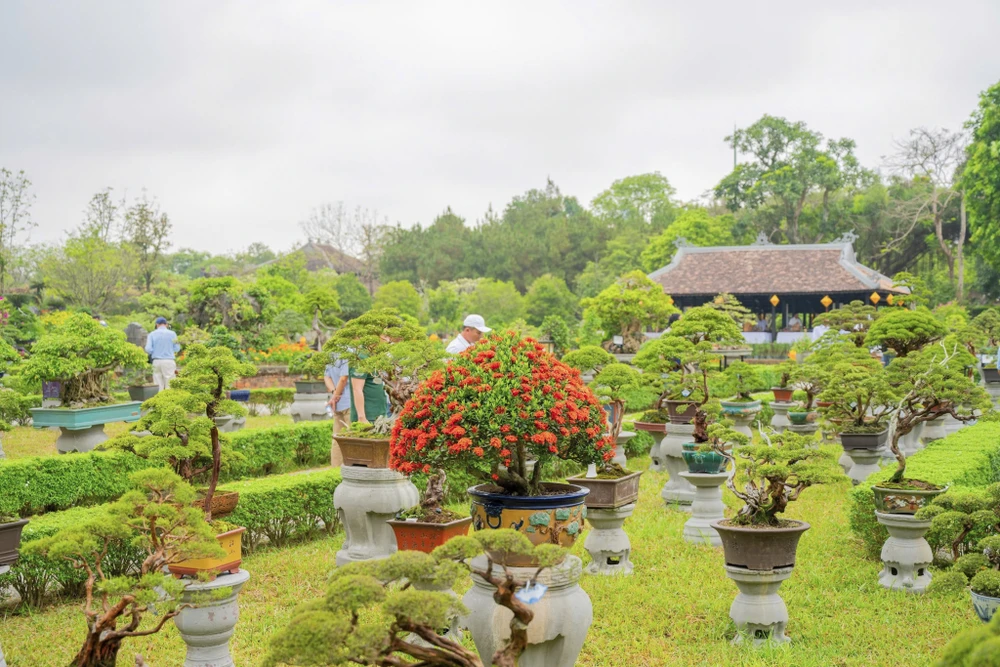 1-000-gio-hoa-lan-ba-mien-khoe-sac-tai-dai-noi-hue (10).jpg