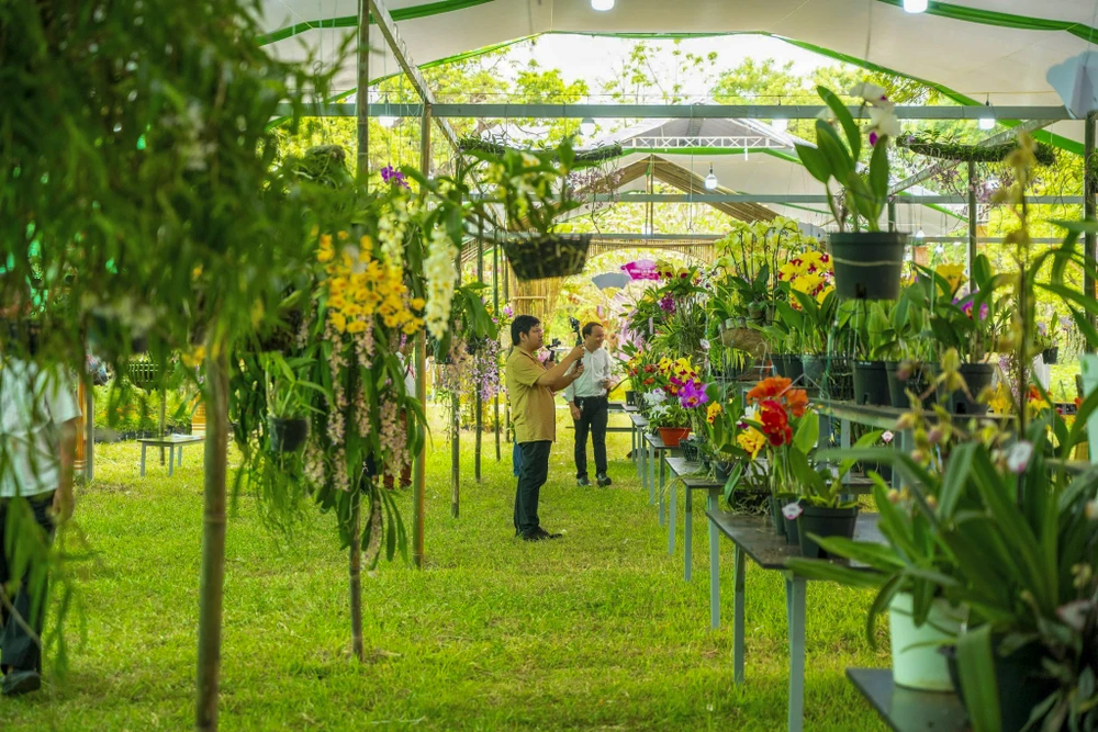 1-000-gio-hoa-lan-ba-mien-khoe-sac-tai-dai-noi-hue (2).jpg