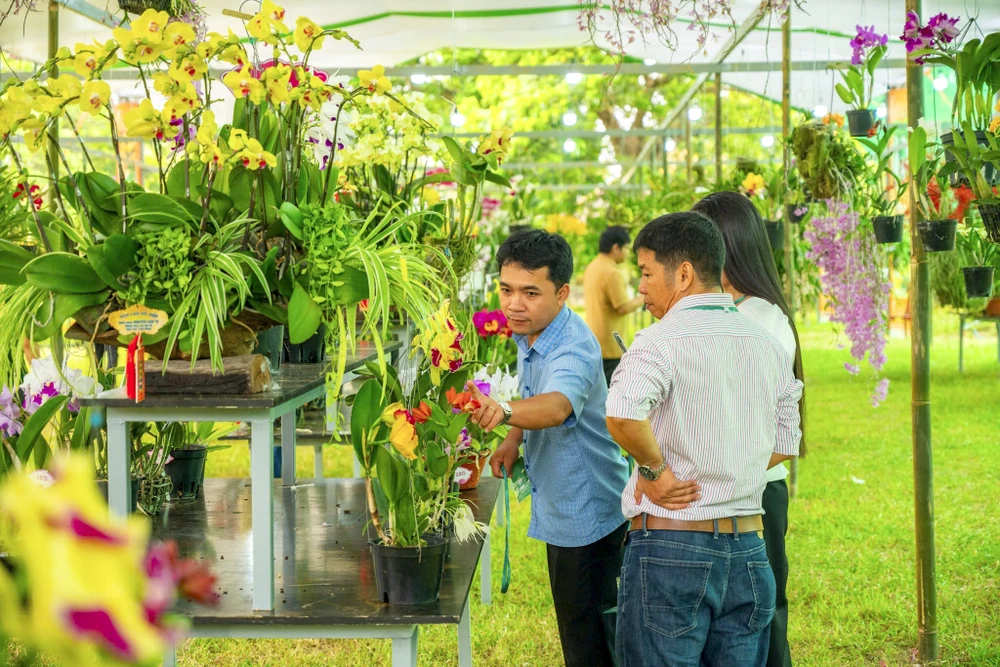 1-000-gio-hoa-lan-ba-mien-khoe-sac-tai-dai-noi-hue (22).jpg