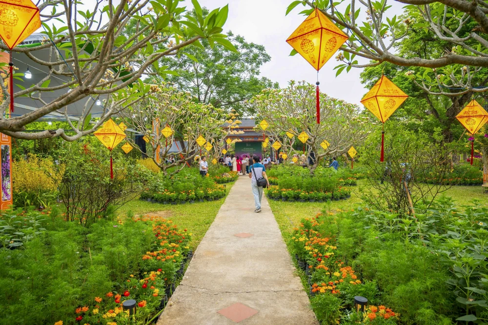 1-000-gio-hoa-lan-ba-mien-khoe-sac-tai-dai-noi-hue (23).jpg