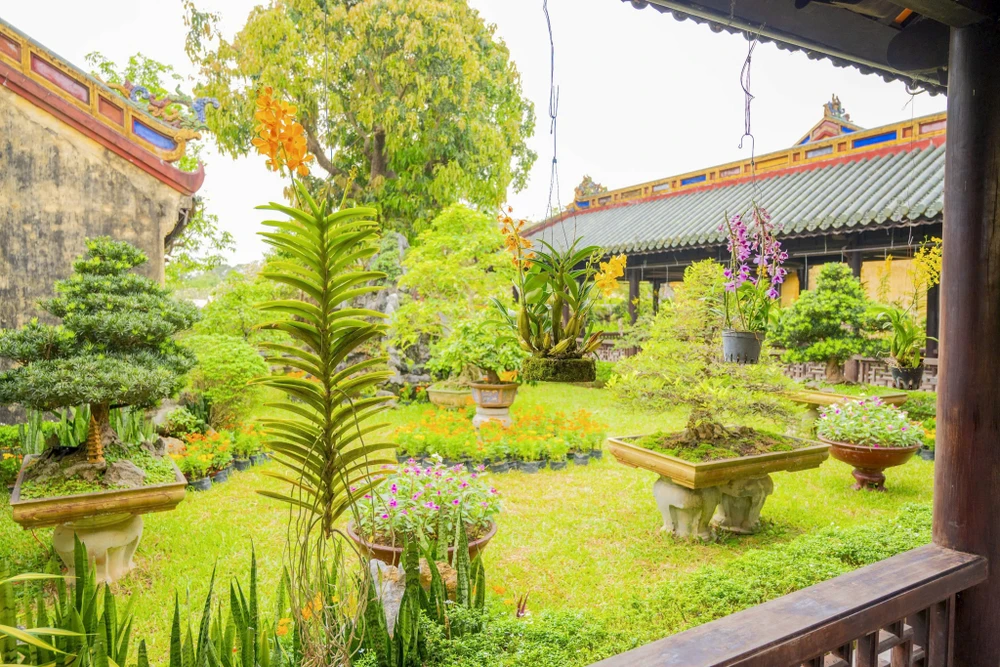 1-000-gio-hoa-lan-ba-mien-khoe-sac-tai-dai-noi-hue (4).jpg