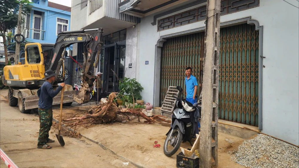 hang-chuc-cay-xanh-o-hue-bi-don-ha-bat-goc-de-chinh-trang-do-thi (5).jpg