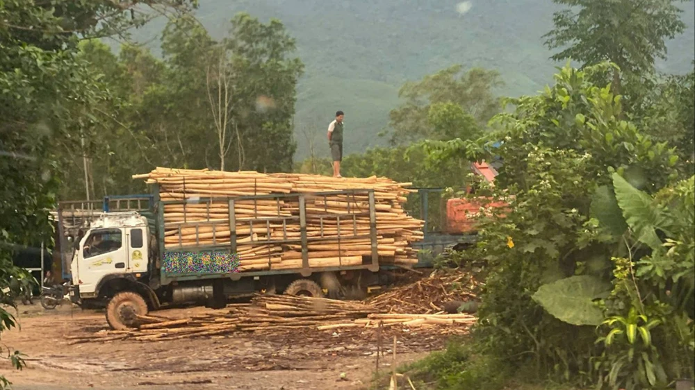 hue-loan-tram-can-keo-tram-lenh-dinh-chi-chi-nam-tren-giay (2) (1).jpg