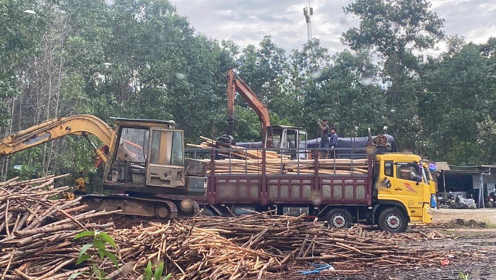 hue-loan-tram-can-keo-tram-lenh-dinh-chi-chi-nam-tren-giay (3) (1).jpg