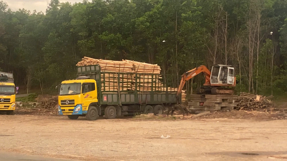 hue-loan-tram-can-keo-tram-lenh-dinh-chi-chi-nam-tren-giay (4).jpg