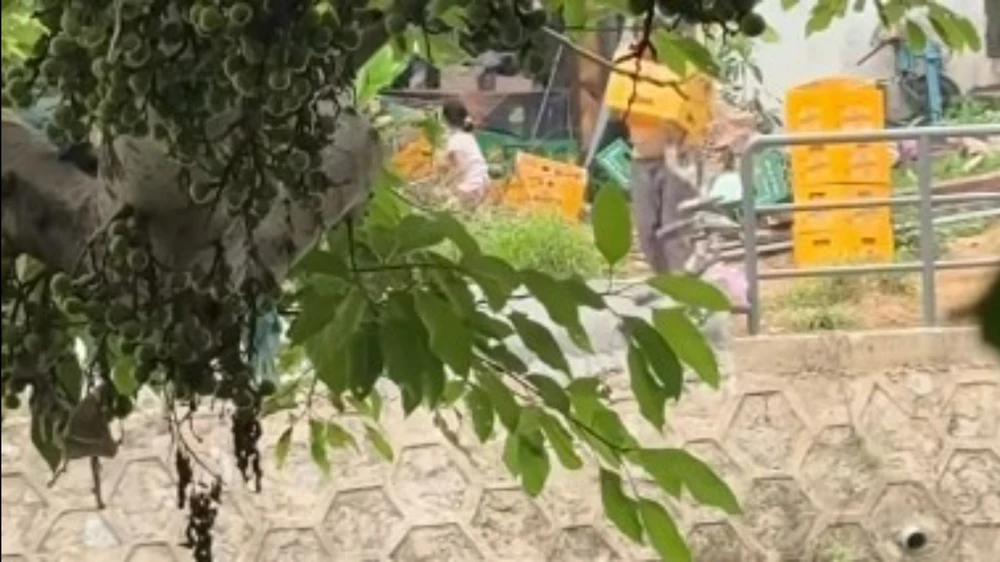do-vo-chai-bia-xuong-song-nguoi-dan-ong-bi-buoc-phai-nhat-lai- (1).jpg