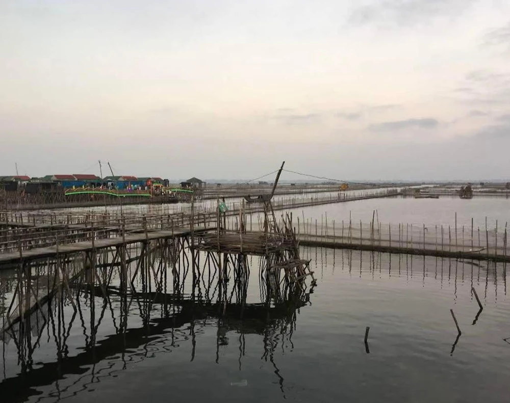 Đầm chuồn phá Tam Giang của xứ Huế mộng mơ. Ảnh: LƯU BÌNH