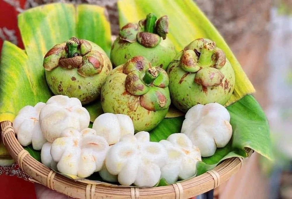 Trung bình một ký măng cụt còn nguyên vỏ có giá từ 50.000-60.000 đồng/ ký, tuy nhiên nhiều nơi nhận gọt vỏ giá sẽ dao động từ 400.000-500.000 đồng/ ký tùy thời điểm. Ảnh: Chụp màn hình.
