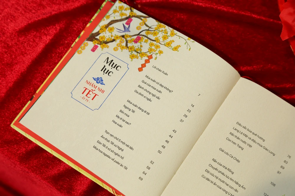 nham-nhi-tet-at-ty3.jpg