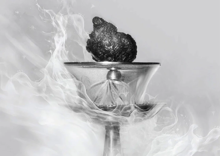 xá lợi trái tim Bồ tát Thích Quảng Đức