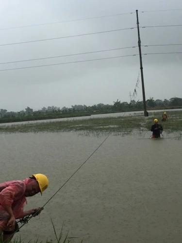 Thợ điện thủ đô nỗ lực khôi phục lưới điện sau bão ảnh 2