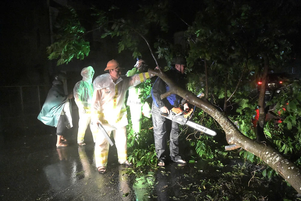 Hơn 5.000 hecta lúa tại tỉnh Nam Định bị thiệt hại do bão Yagi