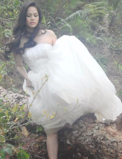 ăm 2011, Nhật Kim Anh cũng bị "tai nạn" 