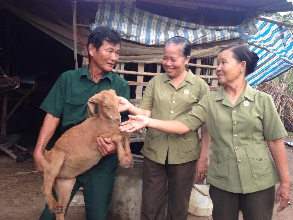 Mô hình các cựu chiến binh giúp nhau giảm nghèo tại xã Tân Xuân, huyện Ba Tri, Bến Tre. 